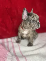 processed/ff79cf77-9e46-4d54-965b-314178d39902/facility/344d4cae-038b-4ab5-a0c6-d7e9e7ef767d