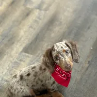 processed/ff79cf77-9e46-4d54-965b-314178d39902/facility/6fc2dc33-143e-448e-9d6d-532dea8305b6