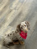 processed/ff79cf77-9e46-4d54-965b-314178d39902/facility/6fc2dc33-143e-448e-9d6d-532dea8305b6