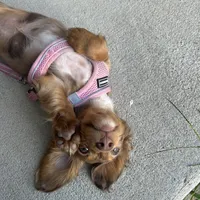 processed/ff79cf77-9e46-4d54-965b-314178d39902/facility/93359fa7-7648-4b26-845a-d830f3e1160c