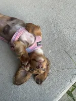 processed/ff79cf77-9e46-4d54-965b-314178d39902/facility/93359fa7-7648-4b26-845a-d830f3e1160c