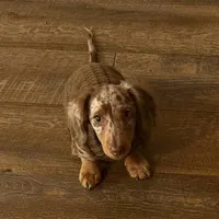 processed/ff79cf77-9e46-4d54-965b-314178d39902/facility/b40a2732-982a-404d-ac9b-1a40858517a0