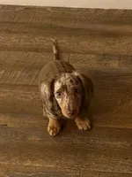 processed/ff79cf77-9e46-4d54-965b-314178d39902/facility/b40a2732-982a-404d-ac9b-1a40858517a0