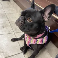 processed/ff79cf77-9e46-4d54-965b-314178d39902/facility/d7d2c47f-482f-48ea-b2a6-1310f89ed231