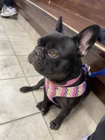 processed/ff79cf77-9e46-4d54-965b-314178d39902/facility/d7d2c47f-482f-48ea-b2a6-1310f89ed231