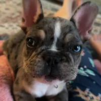 processed/ff79cf77-9e46-4d54-965b-314178d39902/facility/fce92bc6-ca96-48c2-a627-0ca915eaea48