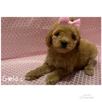 processed/ff79d3b2-d79c-499d-9994-b9ea62771619/facility/027da1bb-dcc2-44a5-aacd-c364930f7358