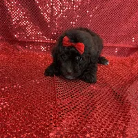 processed/ff79d3b2-d79c-499d-9994-b9ea62771619/facility/0b58be62-6b40-471c-8b2d-c5e91b9d7395