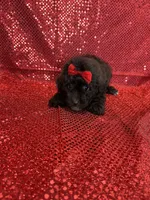 processed/ff79d3b2-d79c-499d-9994-b9ea62771619/facility/0b58be62-6b40-471c-8b2d-c5e91b9d7395