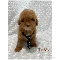 processed/ff79d3b2-d79c-499d-9994-b9ea62771619/facility/10e77722-6efc-4a1a-a7ee-a40449824102