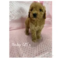 processed/ff79d3b2-d79c-499d-9994-b9ea62771619/facility/1c951a55-72db-4b34-9a6c-3614e6e0b2d1