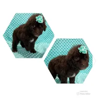 processed/ff79d3b2-d79c-499d-9994-b9ea62771619/facility/37395d27-5fc8-462d-aa2e-d73ba95b7baa