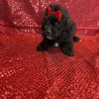 processed/ff79d3b2-d79c-499d-9994-b9ea62771619/facility/92fa124e-e70a-490f-8eeb-e348ed19d0e7