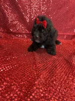 processed/ff79d3b2-d79c-499d-9994-b9ea62771619/facility/92fa124e-e70a-490f-8eeb-e348ed19d0e7