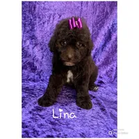 processed/ff79d3b2-d79c-499d-9994-b9ea62771619/facility/b99dc40f-35fa-40d6-a72d-013bd923e7bf