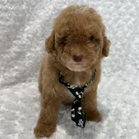 processed/ff79d3b2-d79c-499d-9994-b9ea62771619/facility/dbcaab07-b0c9-425e-a4cd-8b97ddc1766c