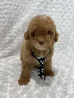 processed/ff79d3b2-d79c-499d-9994-b9ea62771619/facility/dbcaab07-b0c9-425e-a4cd-8b97ddc1766c