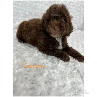 processed/ff79d3b2-d79c-499d-9994-b9ea62771619/facility/e68243ea-4fae-490e-983d-436a0ea72fb5