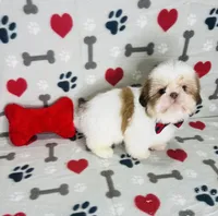 processed/ff79d3b2-d79c-499d-9994-b9ea62771619/listing/d520f01d-a7b5-412c-bf01-220d87136022/6764e240-f060-4ca8-98a0-56268bba8bda