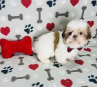 processed/ff79d3b2-d79c-499d-9994-b9ea62771619/listing/d520f01d-a7b5-412c-bf01-220d87136022/bc82f44e-ecf7-487b-b71b-80e1c780076d