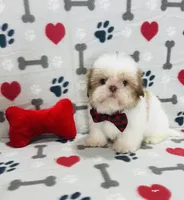 processed/ff79d3b2-d79c-499d-9994-b9ea62771619/listing/d520f01d-a7b5-412c-bf01-220d87136022/d9bc16df-146d-4b19-8bfd-3ea370abcb67