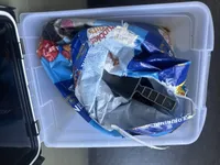 Milo, a male Cockapoo for sale in Joliet, IL – Photo 6 of 10