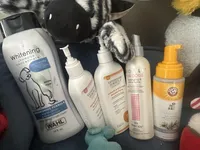 Milo, a male Cockapoo for sale in Joliet, IL – Photo 8 of 10