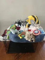 Milo, a male Cockapoo for sale in Joliet, IL – Photo 5 of 10