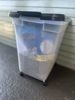 Milo, a male Cockapoo for sale in Joliet, IL – Photo 2 of 10