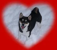 processed/ff86a8eb-dfee-4fb6-ba3a-5045e5cef0a7/facility/0697bc8f-13bb-4512-a788-f7f19f048087