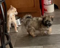 processed/ff86a8eb-dfee-4fb6-ba3a-5045e5cef0a7/facility/1c8207ea-7f20-48fa-9801-2c93896c2c3f