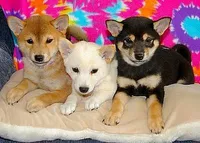 processed/ff86a8eb-dfee-4fb6-ba3a-5045e5cef0a7/facility/30273f26-dbdc-4451-a7dc-e4c46d629b3d