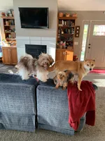 processed/ff86a8eb-dfee-4fb6-ba3a-5045e5cef0a7/facility/6c186c1b-66b3-4f06-8f9b-428b792bb19c