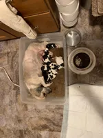 processed/ff86a8eb-dfee-4fb6-ba3a-5045e5cef0a7/facility/6e219ddf-4684-41a8-8e36-bb978e531c16