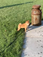 processed/ff86a8eb-dfee-4fb6-ba3a-5045e5cef0a7/facility/a56f2ec9-1503-44e0-b030-b00c8ef1c2fa