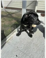 processed/ff8d4067-dc74-418e-a843-0a5efe8f12b8/facility/0e7ad2fb-99ba-48d3-8ebd-3f3f885b77c1