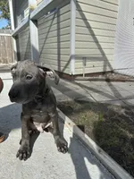 processed/ff8d4067-dc74-418e-a843-0a5efe8f12b8/facility/c2031e28-f195-47b2-b2b9-2a513ec56105