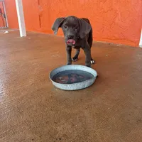 Facility photo