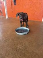 processed/ff8d4067-dc74-418e-a843-0a5efe8f12b8/facility/ca7ea674-b9a4-40f4-960d-9ad215da2a02