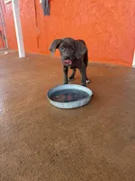 processed/ff8d4067-dc74-418e-a843-0a5efe8f12b8/listing/2be6a4af-40ec-4527-bc1f-2cde23d7086d/263f880d-0dd0-4acb-92b8-dca2f4d14b25