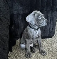 processed/ff8d4067-dc74-418e-a843-0a5efe8f12b8/listing/3594f599-50ba-4a29-86c6-e1bf7cbb9044/76515053-5802-49bd-8a72-b4d5ea6c4830