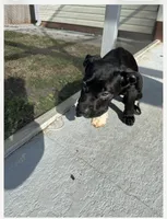 processed/ff8d4067-dc74-418e-a843-0a5efe8f12b8/listing/39abdf3b-8833-42c7-b071-bddc94173ac7/0e85c6f1-668e-42a8-9834-b01a4adf77e0