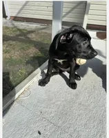 processed/ff8d4067-dc74-418e-a843-0a5efe8f12b8/listing/39abdf3b-8833-42c7-b071-bddc94173ac7/4b2b19ad-87ea-44d0-87c1-4f462bb33668