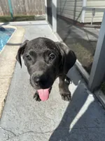 processed/ff8d4067-dc74-418e-a843-0a5efe8f12b8/listing/97885b2a-e3c7-41bd-b124-2152391bff0c/07bcae0e-0a3b-4d01-bcbc-f65cd40d6a55