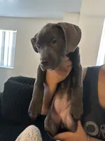 processed/ff8d4067-dc74-418e-a843-0a5efe8f12b8/listing/97885b2a-e3c7-41bd-b124-2152391bff0c/1b24d923-3b6b-4731-9733-f81552f92956