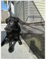 processed/ff8d4067-dc74-418e-a843-0a5efe8f12b8/listing/adc21691-c424-48be-b44b-49a4effe6cab/8c9eafe1-261d-42ab-8b42-c60a1bfa181b