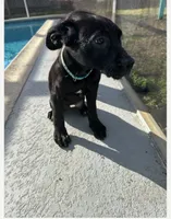 processed/ff8d4067-dc74-418e-a843-0a5efe8f12b8/listing/adc21691-c424-48be-b44b-49a4effe6cab/d599c3ea-5bee-4fe9-82a4-fc96ff162e06