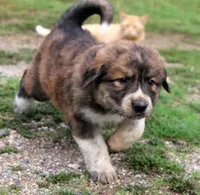 processed/ff9527b8-1a3a-4d83-b0ea-e34cefaf6892/facility/014a9db8-64fb-4062-baa7-ce32a36a6832