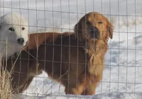 processed/ff9527b8-1a3a-4d83-b0ea-e34cefaf6892/facility/23a2219e-54da-4041-9ea4-2b4f1b01afa3