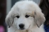 processed/ff9527b8-1a3a-4d83-b0ea-e34cefaf6892/facility/42b8fa4b-061f-46c4-8bb8-ea706003c1bc